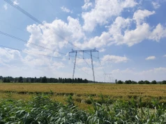 W Polsce tę "branżę czeka boom", ale trzeba się spieszyć