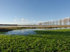 Czaszka nabita na drewniany pal przetrwała tysiące lat. Poruszające odkrycie niemieckich archeologów