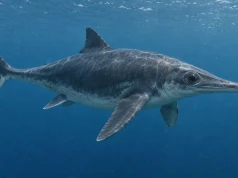 Ichtiozaur od A do Z. Gad, który zamienił ląd na otwarty ocean