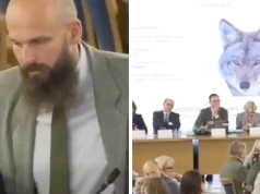 Mieli rozmawiać o wilkach. Na grafice pojawił się kojot. „Co jest, co jest?”