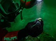 Pierwszy taki artefakt. Na pierścieniu z brązu odkryto latarnię z Faros