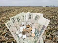 Nowe zasady odszkodowań dla rolników. Ten zapis może obniżyć wypłatę