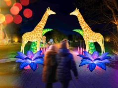 Park Miliona Świateł w Ogrodzie Doświadczeń. Tak będzie wyglądać „Królestwo Zwierząt”