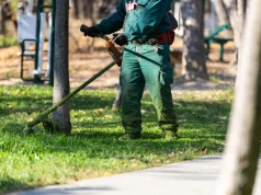 Kosiarki pod oknem w październiku. Wygląda na pomyłkę, ale to konieczne