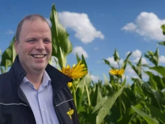 Rolnik rezygnuje ze zbóż. 340 ha obsieje rośliną, która ma zostać na polach przez 20 lat