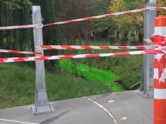 Zielona rzeka w Lublinie. Woda zmieniła kolor na intensywny zielony