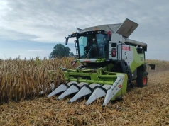 Nawet 9,5 mln ton zebranej kukurydzy na ziarno. Polska może wyprzedzić Francję