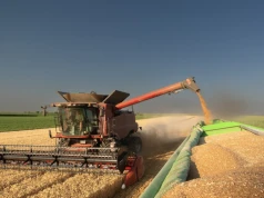 Ukraina stawia warunek UE. Nie zgadza się na limity produktów