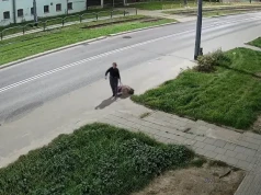 Martwy pies w walizce porzuconej przy ul. Browarnej. Policja szuka kobiety z nagrania