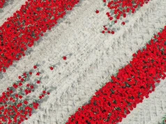 Polskie firmy zostają na krajowym rynku. W tle lęk przed utratą kontroli