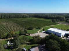 Dziś produkują nawet 60 000 butelek wina rocznie, a zaczynali od 2 ha winorośli