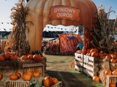 Tysiące dyń na dachu. Lunapark wraca do Galerii Północnej
