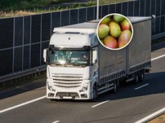 Transport z Indii zatrzymany. Oto co miało trafić do sklepów w Polsce