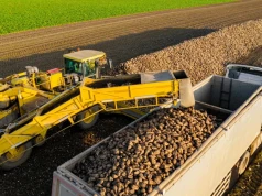 Nawet 3.500 zł pod kreską. Plantatorzy liczą możliwe straty na 2027 rok
