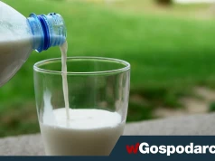 Nie tylko laktoza. Białko mleka też może mieć znaczenie