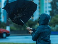 Silny wiatr uderza w Śląsk. IMGW ostrzega w sumie siedem województw – miejscami porywy do 105 km/h