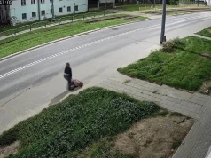 Makabryczne odkrycie przy śmietniku w Elblągu. Policja ustaliła tożsamość kobiety od walizki