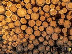 Wszyscy wrzucają to do pieca, myśląc, że zaoszczędzą. A to prosta droga do pożaru i gigantycznych strat
