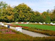 Park Miejski w Legnicy w jesiennej odsłonie. Złote liście, ciepłe promienie słońca i kolorowe wrzośce