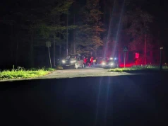 90-latka zgubiła się na grzybobraniu. Poszukiwania w ciemnościach i szczęśliwy finał