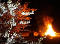 „Ceny są podłe, a nastroje jeszcze gorsze”. Sadownicy czekają na prawdziwą pomoc, nie obietnice