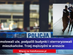 Zdemolowali ule, podpalili budynki i sterroryzowali mieszkańców. Trzej mężczyźni w areszcie