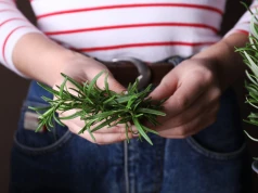 Zagotuj z rozmarynem. Ten naturalny odświeżacz zmieni zapach każdej kuchni