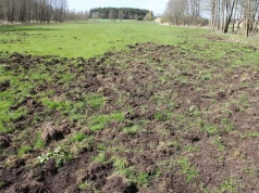 Szkody łowieckie mogą wzrosnąć? WIR apeluje do rolników w sprawie zmian prawa