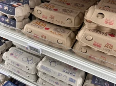 Rynek jaj stabilny, ale marże producentów pod presją. Czy czeka nas delikatne odbicie cen?