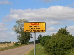 Powiat leszczyński nadal w różowej strefie ASF. GIW złoży wniosek w listopadzie