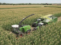 Fendt wprowadza nagrodzony system ForageQualityCam