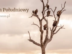 Sześciu chrześcijan porwanych w Sudanie Południowym zostało uwolnionych