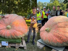 Dynia z Rgielska wygrała konkurs na najcięższą dynię w Polsce, właściwie nie dała szans konkurencji