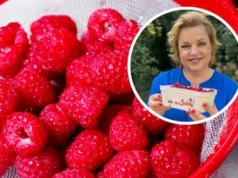 Katarzyna Bosacka stawia sprawę jasno. Czy trzeba myć maliny przed jedzeniem?