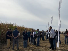 Dzień kukurydzy i sorgo. Jakie odmiany na kolejny sezon poleca RAGT?