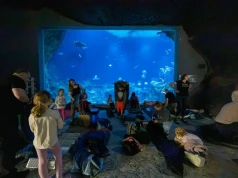 ZOO po zmroku w Łodzi. Zwiedzający odkrywają nocne życie zwierząt