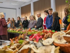 Lekcja bezpiecznego grzybobrania