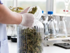 Lex Szarlatan pod lupą. Walka z pseudomedycyną czy regulator całego rynku zdrowia?