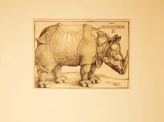 „Nosorożec” Dürera i inne skarby dawnej grafiki w bielskim muzeum