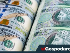 Złoty w odwrocie. Najgorsze dopiero przed nami?