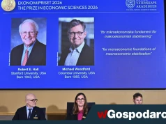 Nobel z ekonomii: połączyli wymiary mikro i makro!