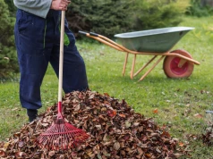 Liście lecą, a czasu coraz mniej. Te prace w ogrodzie trzeba zrobić teraz