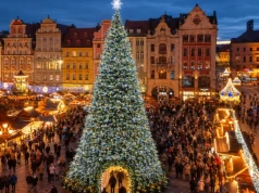 Tak będzie wyglądała nowa wrocławska choinka. Cena: 10,6 tys. zł za jeden dzień