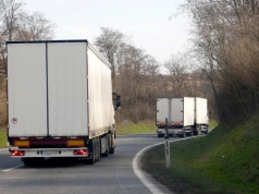Służby zatrzymały transport z Chin. Takie ryby chcieli wwieźć do Polski