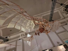 Leonardo3 w Mediolanie, muzeum wynalazków Leonarda da Vinci (ZDJĘCIA)