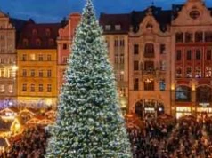 Wrocław szykuje świąteczne iluminacje. Na Rynku stanie choinka, do której będzie można wejść