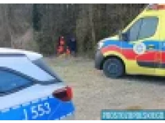 15-latka zaatakowana przez psa w lesie. Nastolatka trafiła do szpitala.