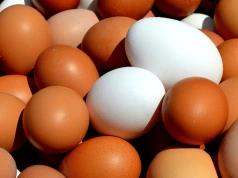 Polskie jaja podbijają świat! Jesteśmy w światowej czołówce eksporterów