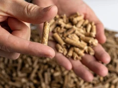 Cena pelletu w 2026 r. dobija do 2 tys. zł. Dlaczego drożeje i skąd te podwyżki?