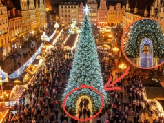 Takiej choinki na wrocławskim Rynku jeszcze nie było. Wejdziesz do jej wnętrza.